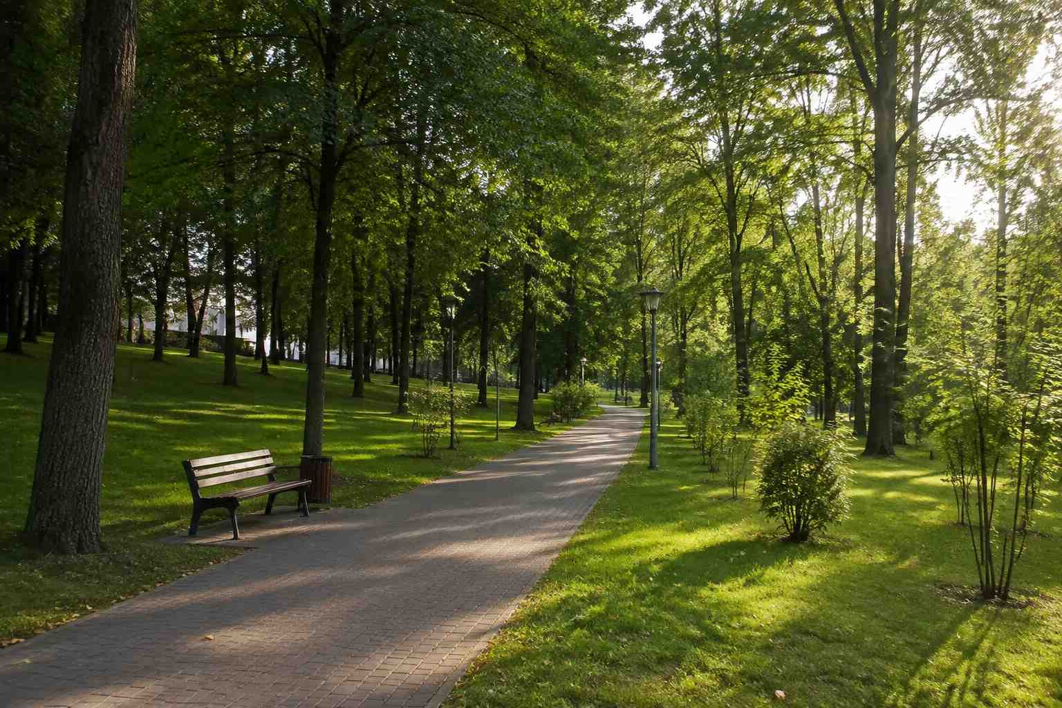 https://komsomolsk-na-amure.blago-s.ru/storage/app/uploads/public/6a7/eef/ed2/6a7eefed2af22038960370.jpg